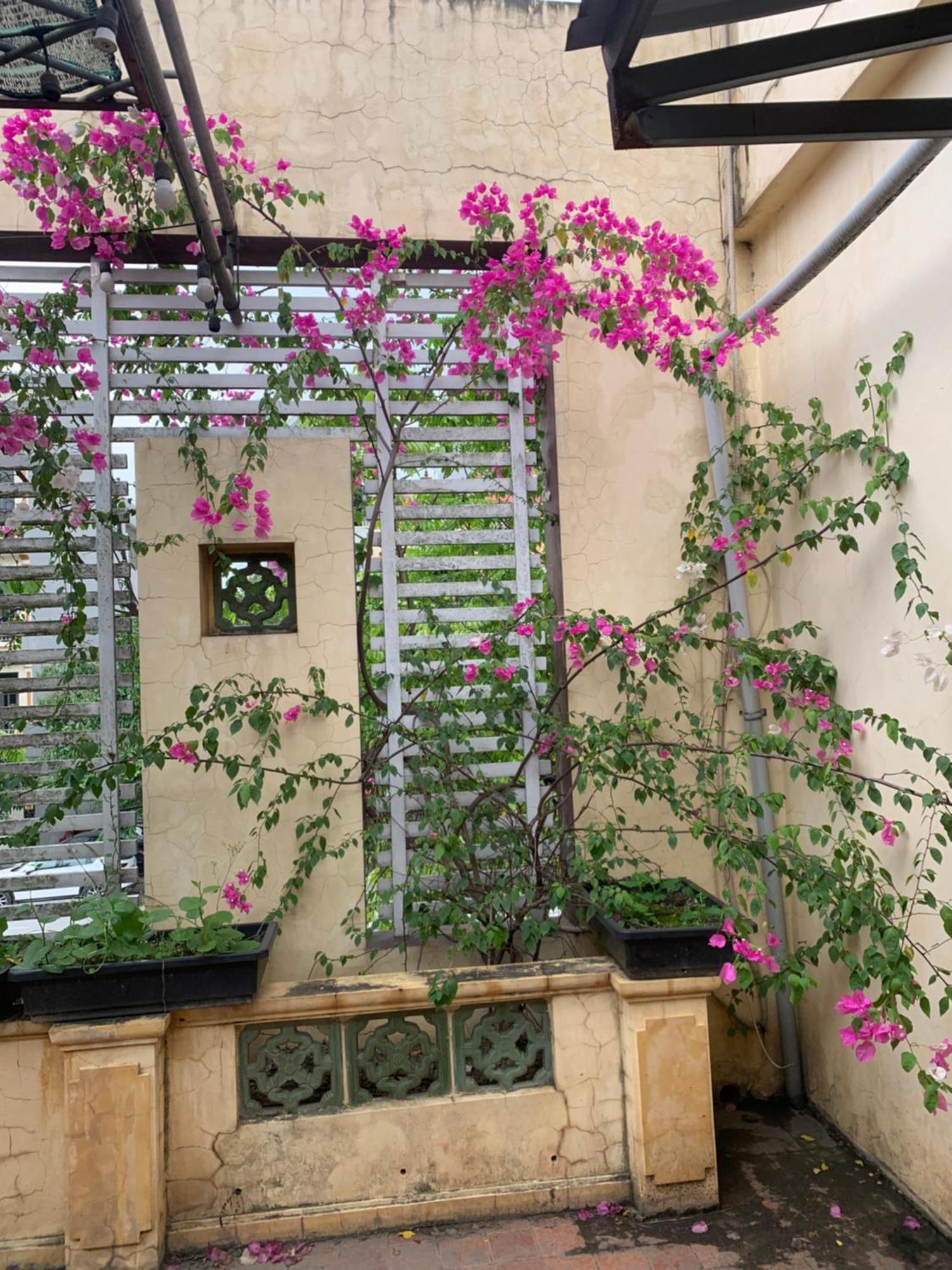 Seoul House Ninh Binh Exterior foto